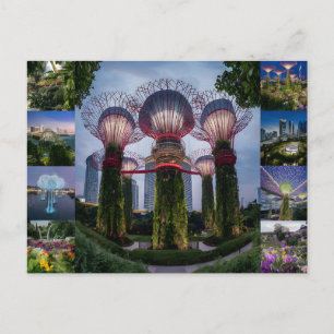 Singapore travel Super trees. Postcard