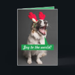 Singing Australian Shepherd Christmas Holiday Card<br><div class="desc">A photo of a cute Aussie (Australian Shepherd) belting out,  "Joy to the World!" He even has his festive reindeer antlers on. Inside he says,  "Sorry for "herding" your ears,  but I just can't help it. Merry Christmas! Perfect holiday card for dog/Aussie lovers! All text is customisable.</div>