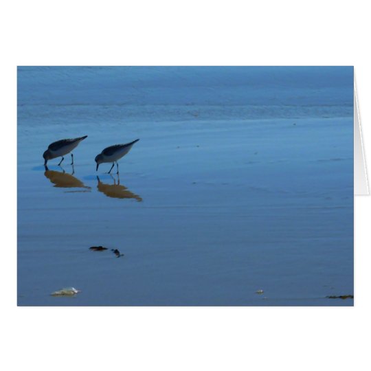 Singing Beach Sandpipers Card