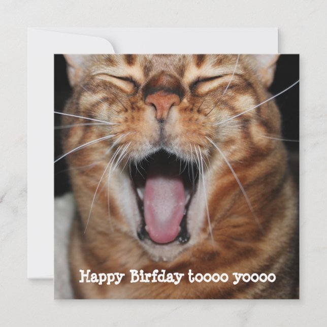Singing Bengal Cat "Happy Birfday.." Birthday Card (Front)