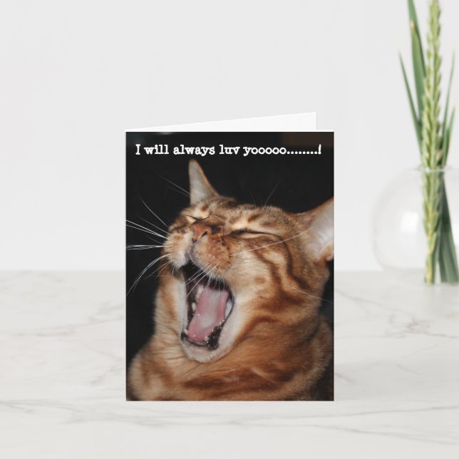 Singing Bengal cat "I will always luv yoooo" Holiday Card (Front)