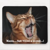 Singing Bengal Cat "mama ...just killed a" Meme