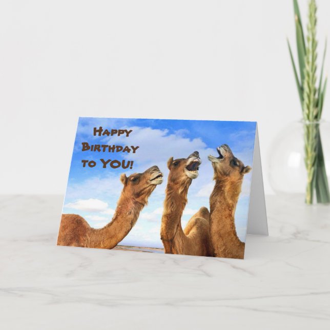 SINGING CAMELS SAY HAPPY **40th** BIRTHDAY Card (Front)