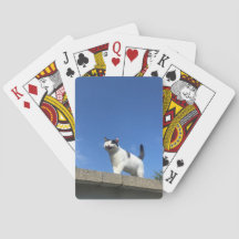 Singing Cat Playing Cards 歌う猫