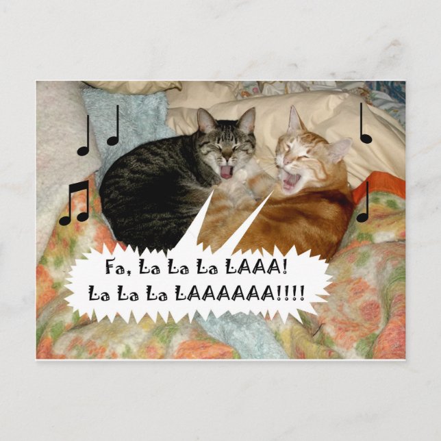 Singing Cats Postcard (Front)