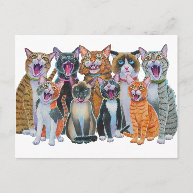 Singing Cats Postcard (Front)