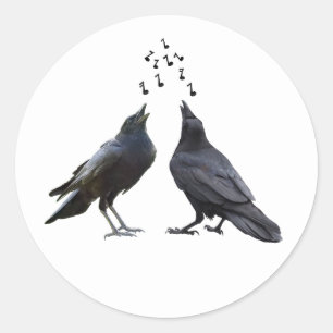Singing Crows  Stickers