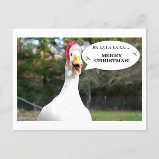 Singing Duck Holiday Card