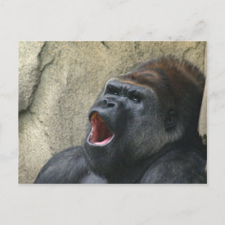 Singing gorilla postcard