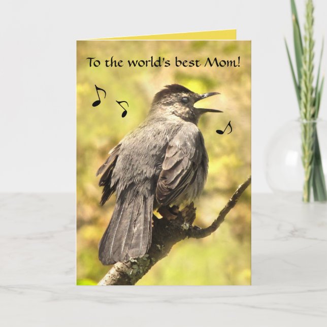 Singing Grey Catbird Mothers Day Card (Front)
