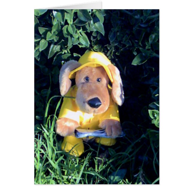 Singing in the rain (Front)