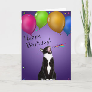 Singing Kitty Birthday Card