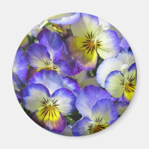 Singing Pansies - Magnet
