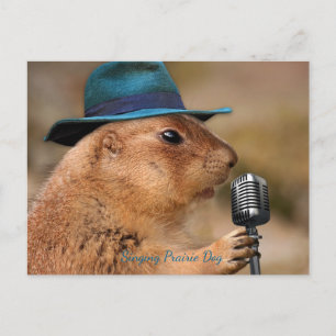 Singing Prairie Dog Postcard