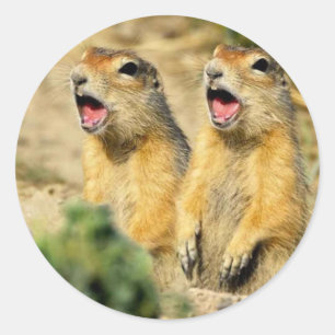Singing Prairie Dogs Classic Round Sticker
