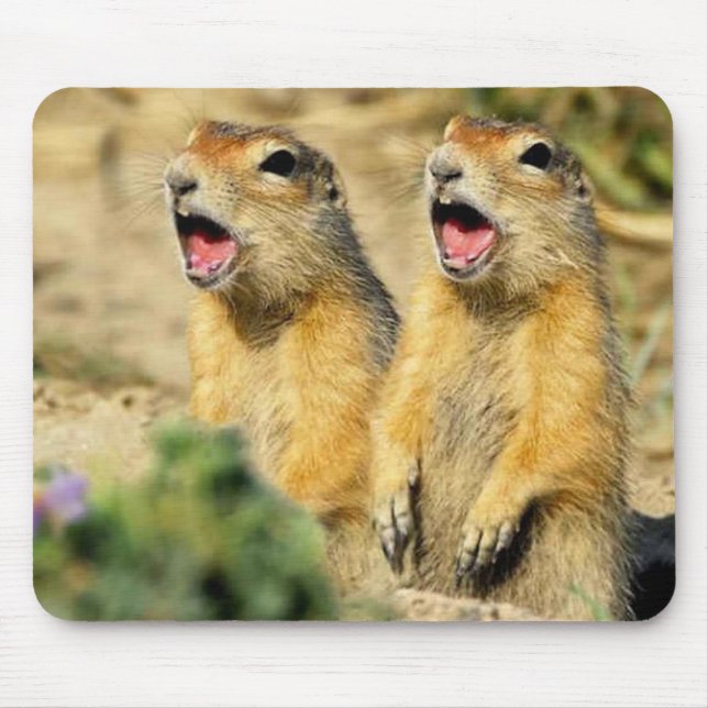 Singing Prairie Dogs Mouse Mat (Front)