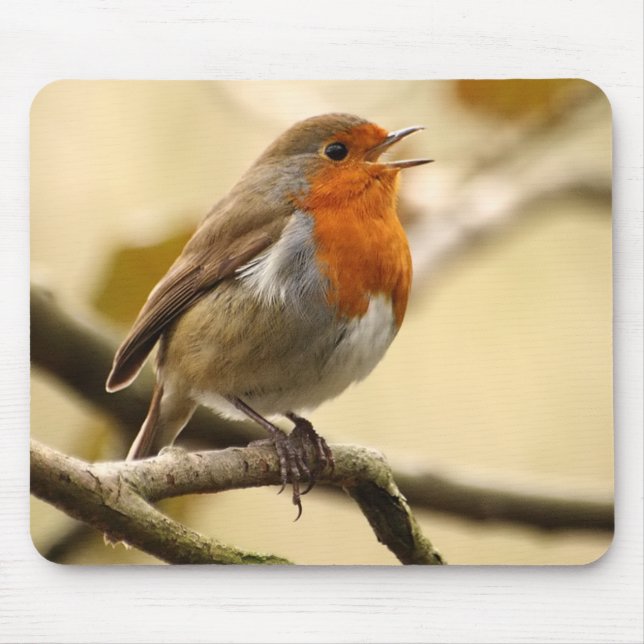 Singing Robin Mouse Mat (Front)