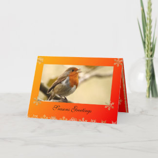 Singing Robin Template Christmas Card