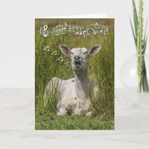 Singing Sheep Birthday Greeting Card, Happy Birth Card