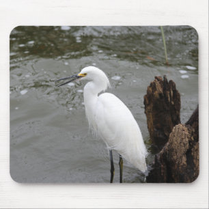 Singing Snowy Egret Mouse Mat