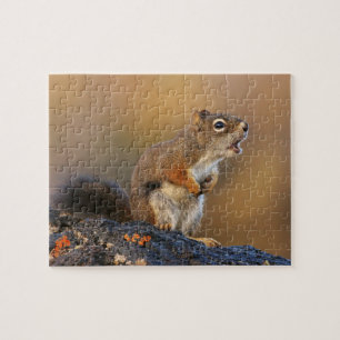 Singing Squirrel Jigsaw Puzzle