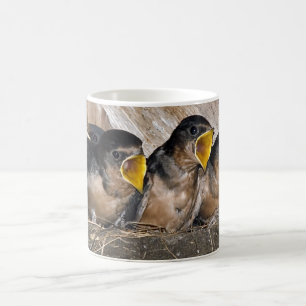 Singing Swallow Chicks - Mugs