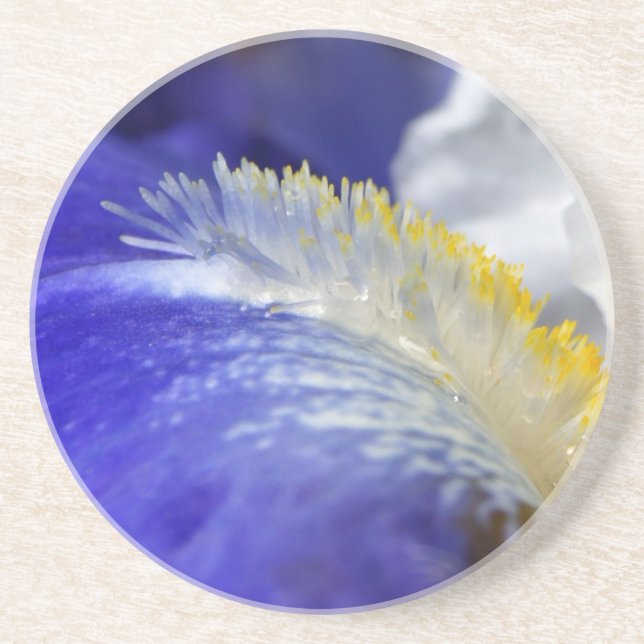 Singing the Blues! Coaster (Front)