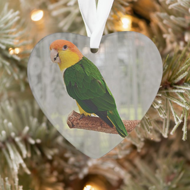 Singing White Bellied Caique Parrot Ornament (Tree)