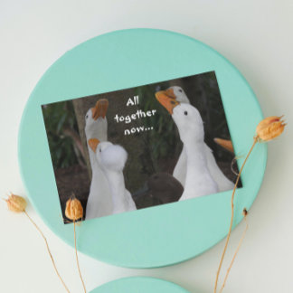 Singing White Ducks Funny Birthday Card