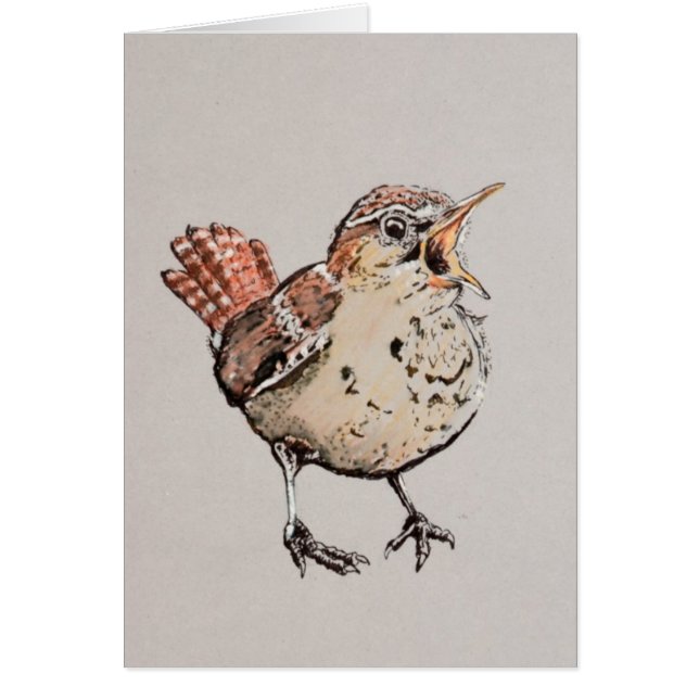 Singing Wren Illustration (Front)