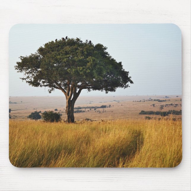 Single acacia tree on grassy plains, Masai Mara, Mouse Mat (Front)
