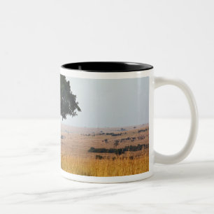 Single acacia tree on grassy plains, Masai Mara, Two-Tone Coffee Mug