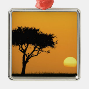 Single Acacia tree silhouetted at sunrise, Masai Metal Tree Decoration