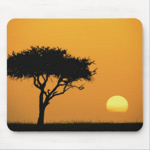 Single Acacia tree silhouetted at sunrise, Masai Mouse Mat