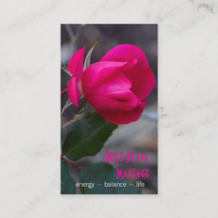 Single Bending Pink Rose Photograph Appointment