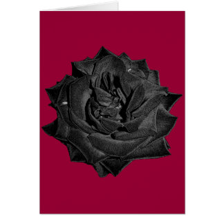 Single Black Rose