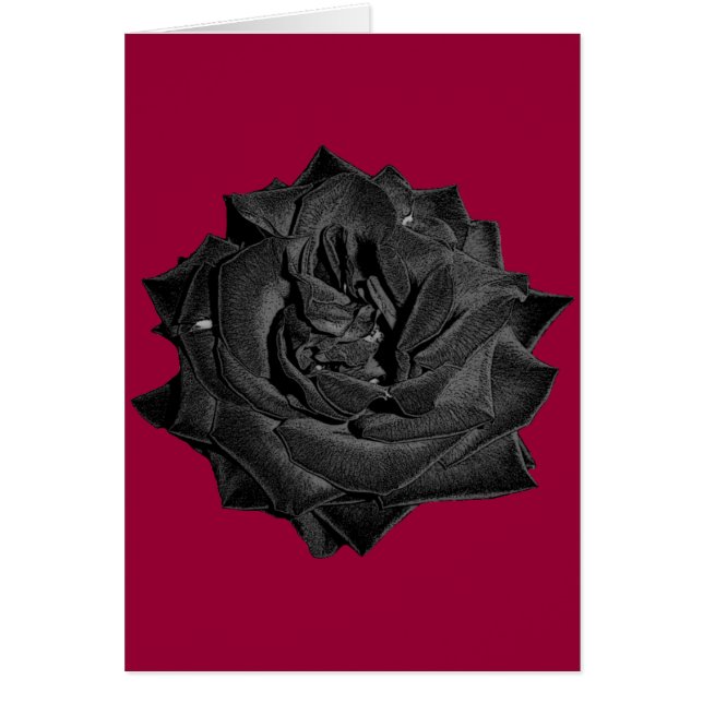 Single Black Rose (Front)