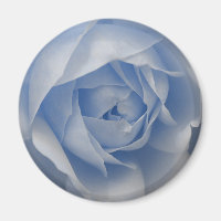 Single Blue Rose
