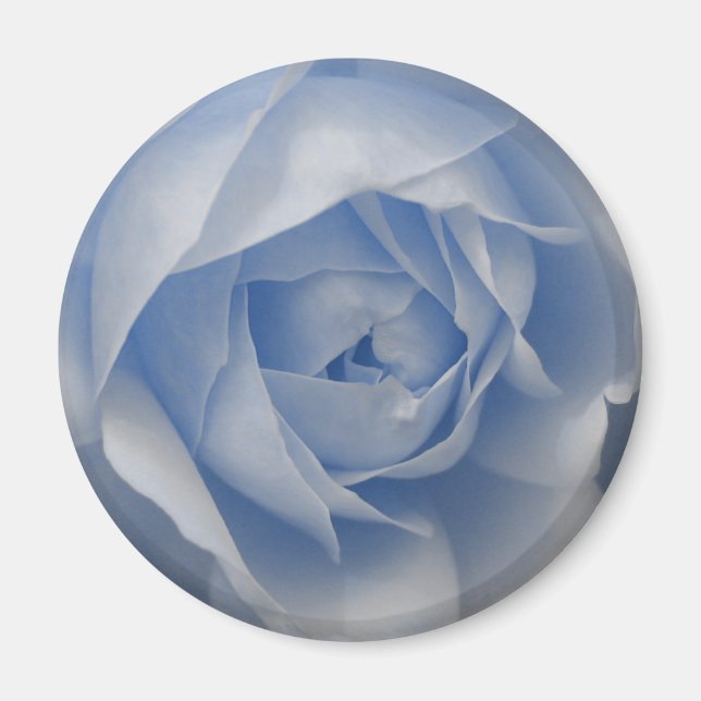 Single Blue Rose Magnet (Front)