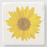 Single Bright Yellow Sunflower