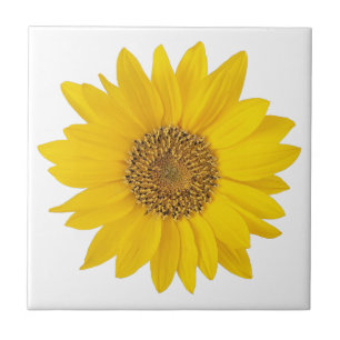 Single Bright Yellow Sunflower Tile