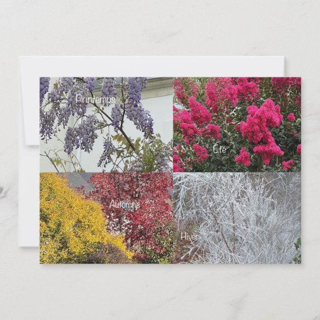 Single Card The Four Seasons (Front)