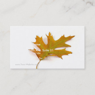Single Coloured Northern Red Oak Leaf On White Bac Business Card