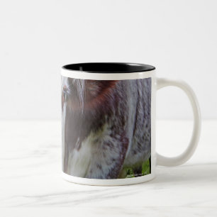 Single cow peerring into camera Two-Tone coffee mug