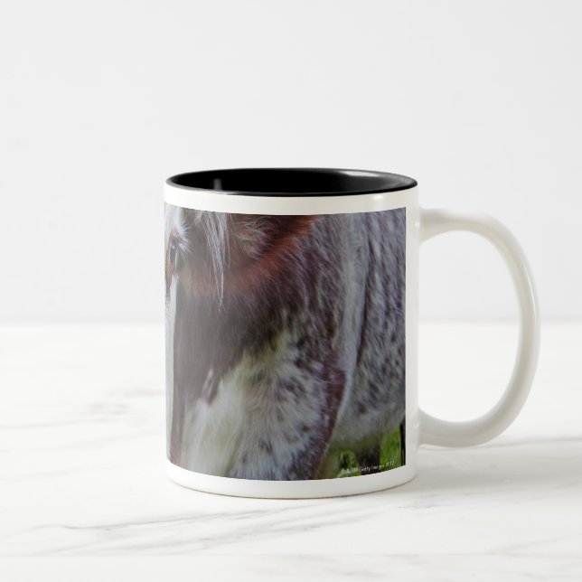 Single cow peerring into camera Two-Tone coffee mug (Right)