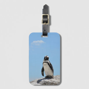 Single Cute Penguin and Blue Sky Luggage Tag