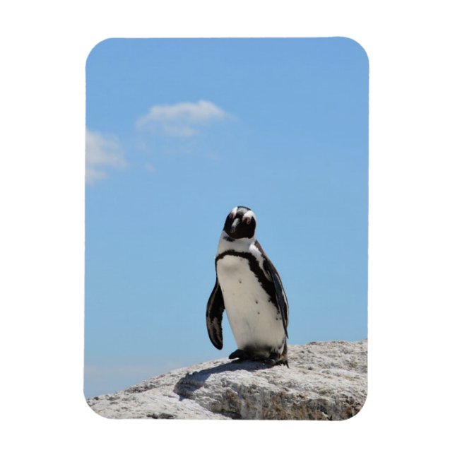 Single Cute Penguin and Blue Sky Magnet (Vertical)