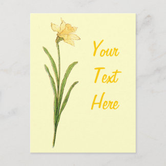 Single Daffodil Illustration by Kate Greenaway Postcard