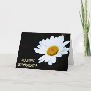 Single Daisy Birthday Card