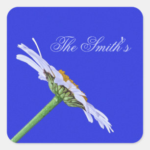 Single Daisy Flower on Canvas Custom Square Sticker